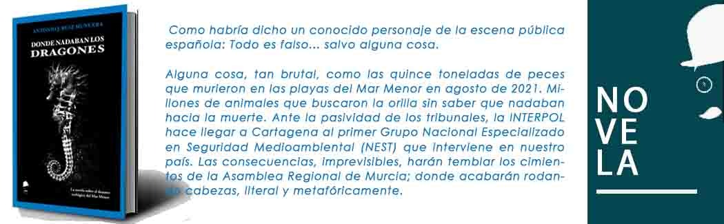 NOVELA